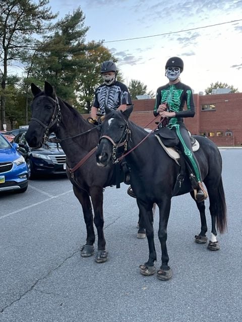 Once again Fairfax4Horses participated in the Vienna Halloween Parade.  We marched with Hunters Valley Riding Club, and had a good turnout.  The theme of the pa